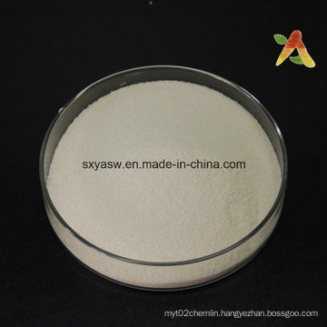 Motherwort Extract 98% Stachydrine Hydrochloride